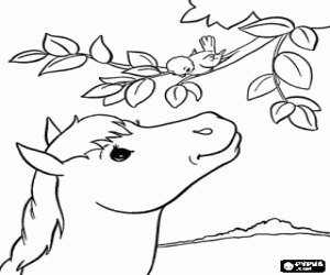 A young horse and a little bird coloring page