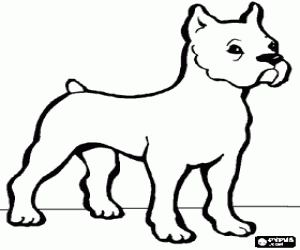 Doberman Coloring Page