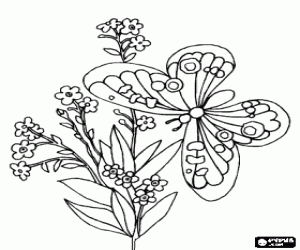 Flowering Coloring Pages