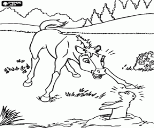 Colt surprised to encounter a prairie dog going out of its burrow coloring page