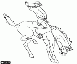 Coloring Book Cowboy