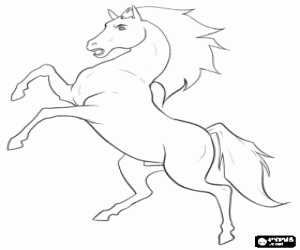 Horse standing on rear legs, wild horse, stallion coloring page