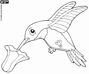 Vulture Coloring Page #6 Vulture Coloring Page #6