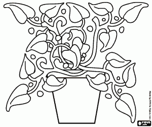 Plant Pot Colouring