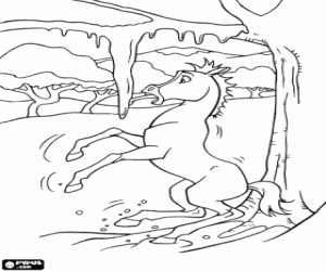 The young horse Spirit has the tongue stuck to an icicle coloring page
