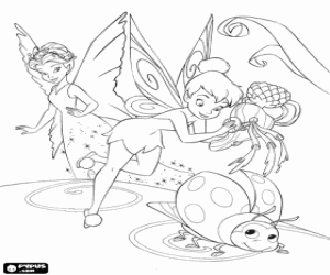 tink coloring pages