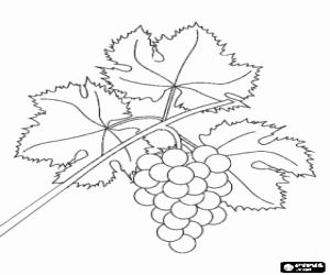 ahab and naboths vineyard coloring pages - photo #25