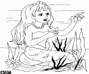 Young siren or mermaid picking flowers from the seabed coloring page
